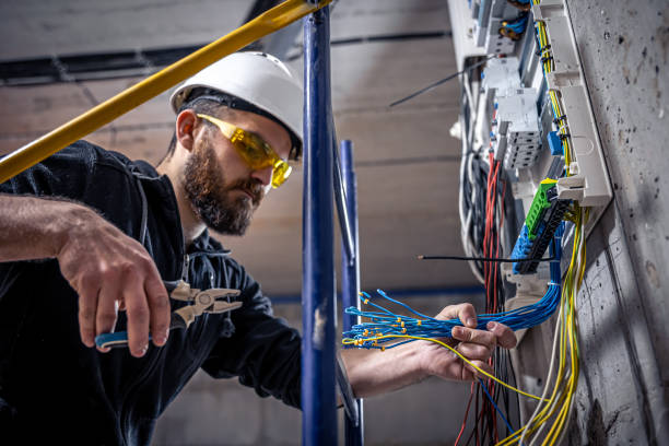 Best Electrical System Inspection  in Georgetown, IL